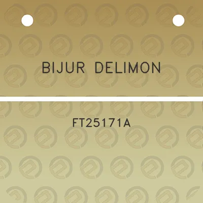 bijur-delimon-ft25171a