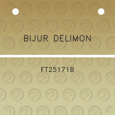 bijur-delimon-ft25171b