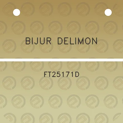 bijur-delimon-ft25171d