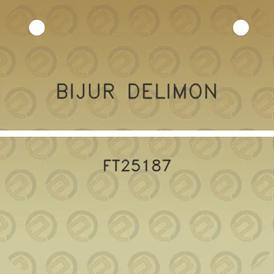 bijur-delimon-ft25187