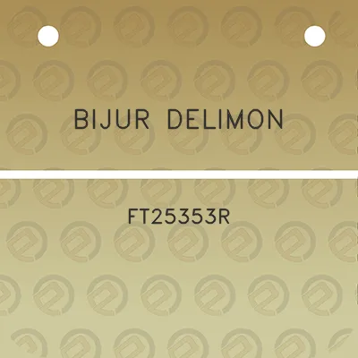 bijur-delimon-ft25353r