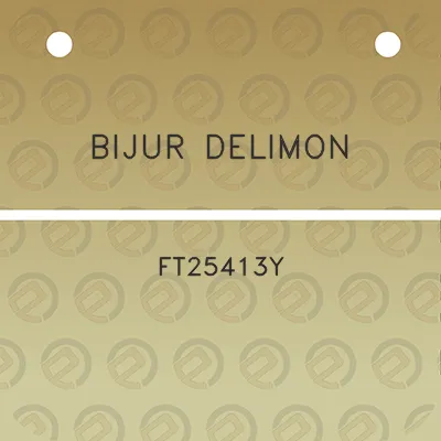 bijur-delimon-ft25413y