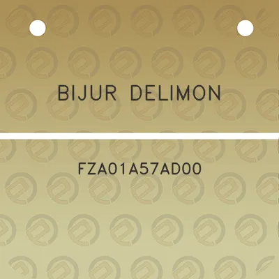 bijur-delimon-fza01a57ad00