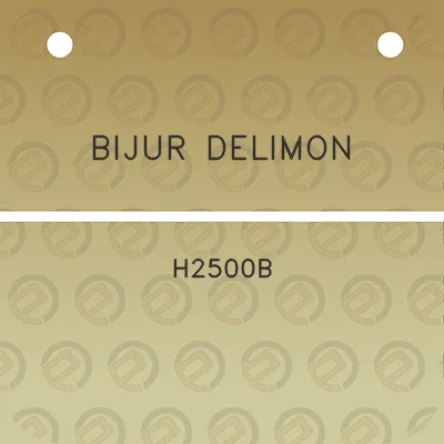 bijur-delimon-h2500b