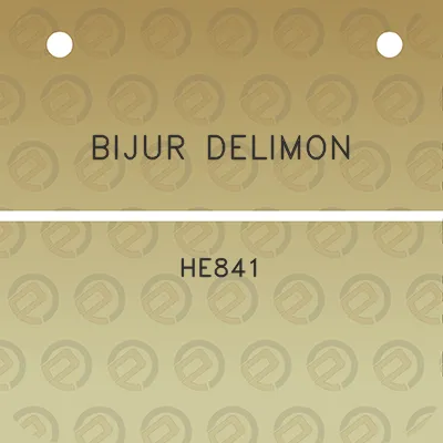 bijur-delimon-he841