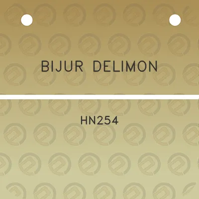 bijur-delimon-hn254