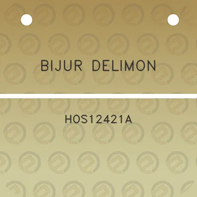 bijur-delimon-hos12421a