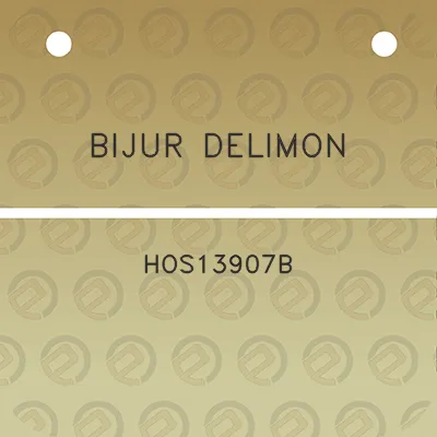 bijur-delimon-hos13907b