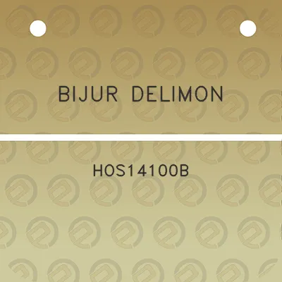 bijur-delimon-hos14100b