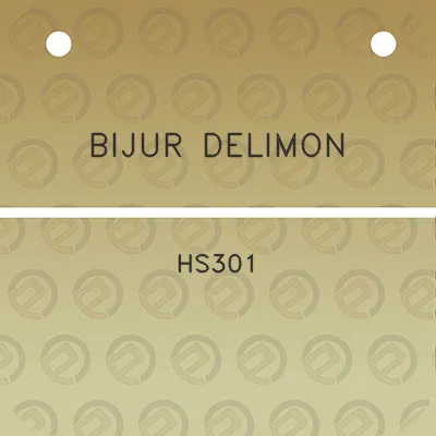 bijur-delimon-hs301