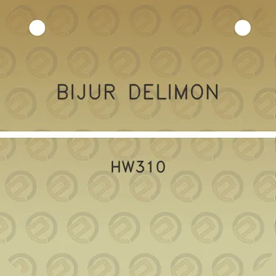 bijur-delimon-hw310