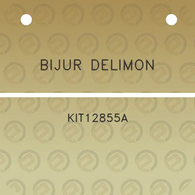 bijur-delimon-kit12855a