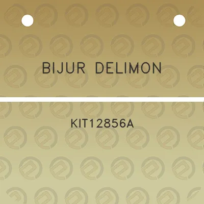 bijur-delimon-kit12856a