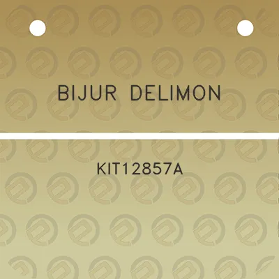 bijur-delimon-kit12857a