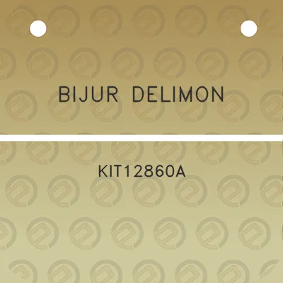 bijur-delimon-kit12860a