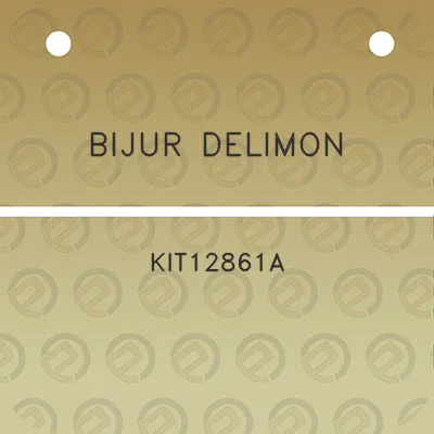 bijur-delimon-kit12861a