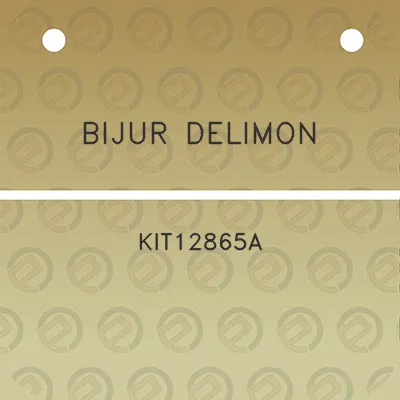 bijur-delimon-kit12865a