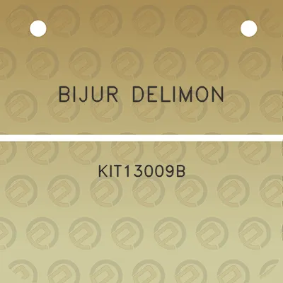 bijur-delimon-kit13009b