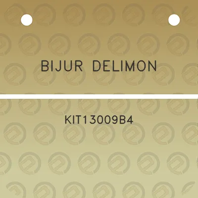 bijur-delimon-kit13009b4