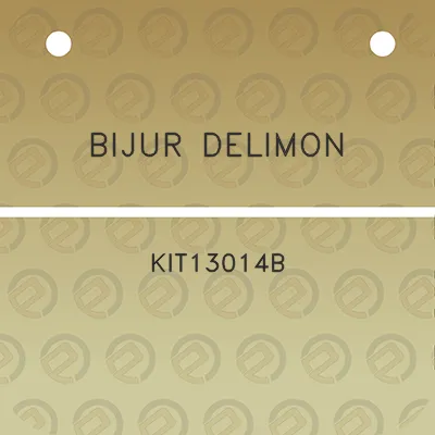 bijur-delimon-kit13014b