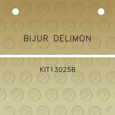 bijur-delimon-kit13025b