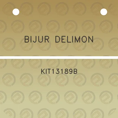 bijur-delimon-kit13189b