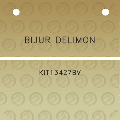 bijur-delimon-kit13427bv