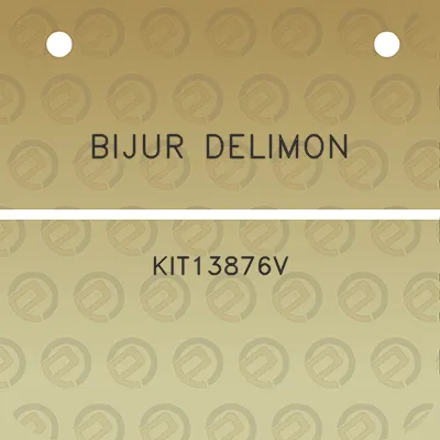 bijur-delimon-kit13876v