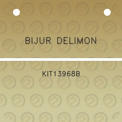 bijur-delimon-kit13968b