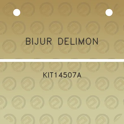 bijur-delimon-kit14507a