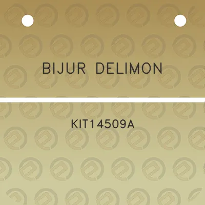 bijur-delimon-kit14509a