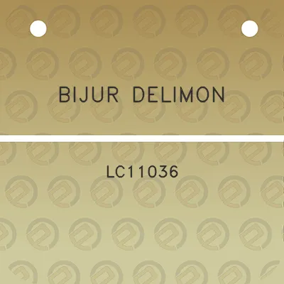 bijur-delimon-lc11036