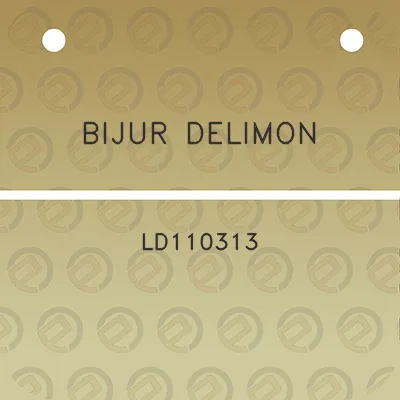 bijur-delimon-ld110313