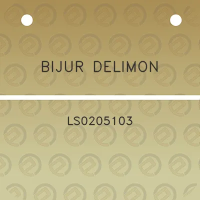 bijur-delimon-ls0205103