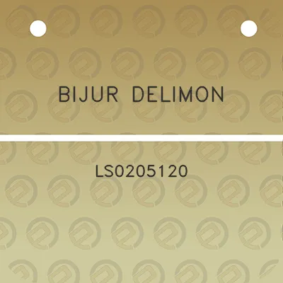 bijur-delimon-ls0205120