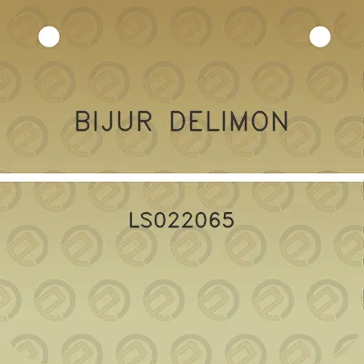 bijur-delimon-ls022065