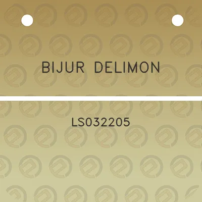 bijur-delimon-ls032205