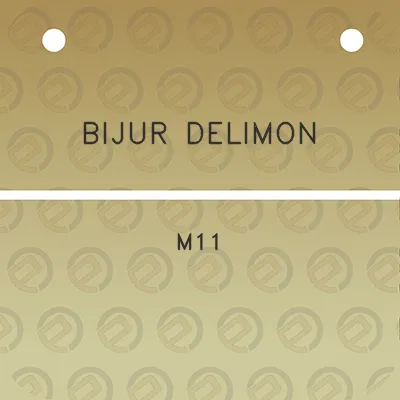 bijur-delimon-m11