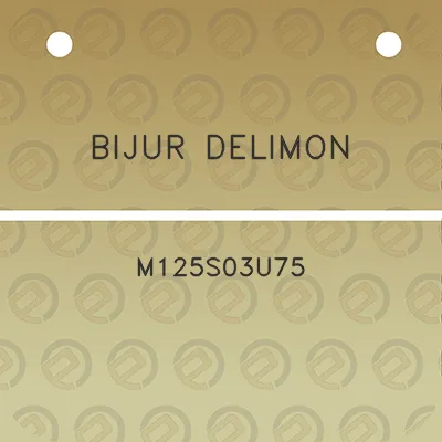 bijur-delimon-m125s03u75