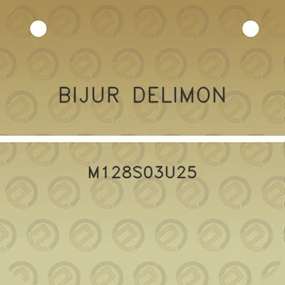 bijur-delimon-m128s03u25