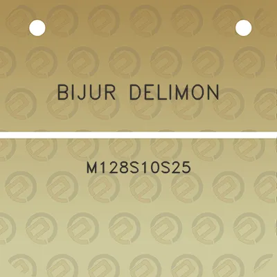 bijur-delimon-m128s10s25