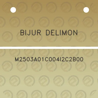 bijur-delimon-m2503a01c004i2c2b00