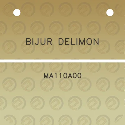 bijur-delimon-ma110a00