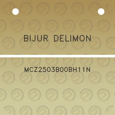 bijur-delimon-mcz2503b00bh11n