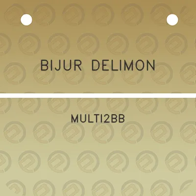 bijur-delimon-multi2bb