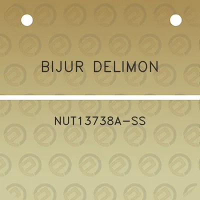 bijur-delimon-nut13738a-ss