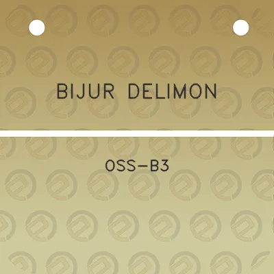 bijur-delimon-oss-b3