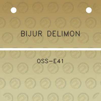 bijur-delimon-oss-e41