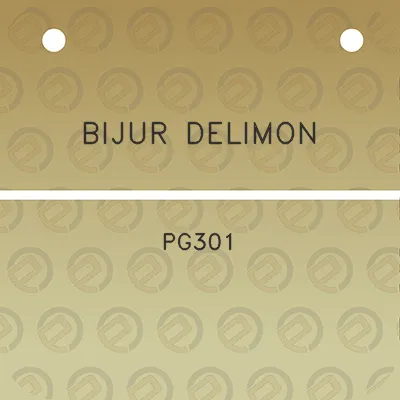 bijur-delimon-pg301