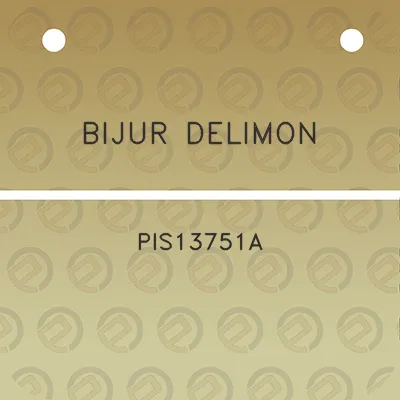 bijur-delimon-pis13751a